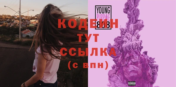 молекула духа Переславль-Залесский
