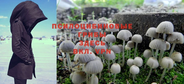 прущая мука Пересвет