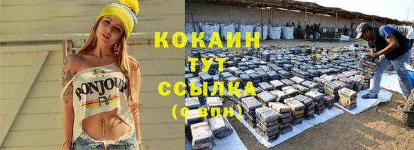 молекула духа Переславль-Залесский