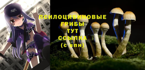 прущий лед Пестово
