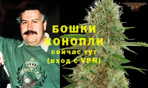 прущая мука Пересвет