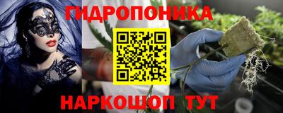Альфа ПВП Кимры