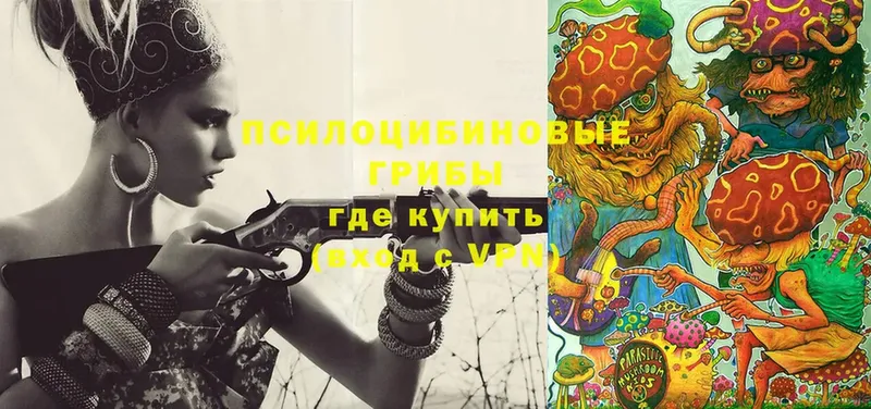 shop клад  Комсомольск-на-Амуре  Псилоцибиновые грибы Cubensis 