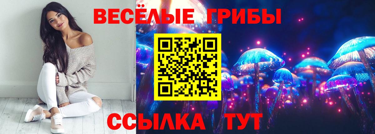Псилоцибиновые грибы мухоморы Комсомольск-на-Амуре
